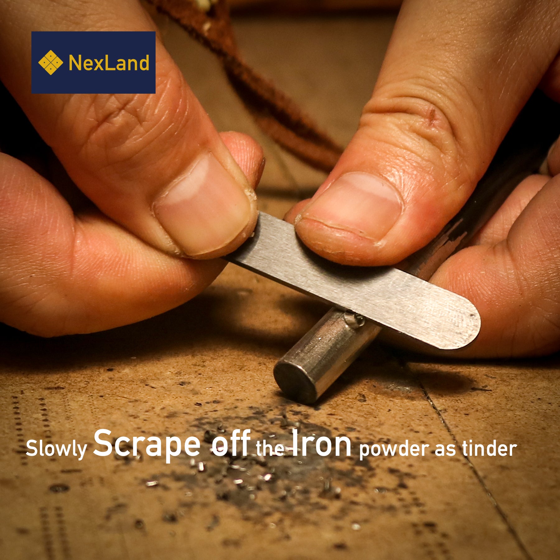 Ceramic Striker CS6010 Standard Size NexLand